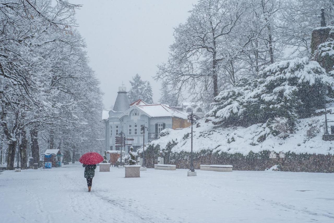 Vila Emilia Vrnjačka Banja Exteriör bild