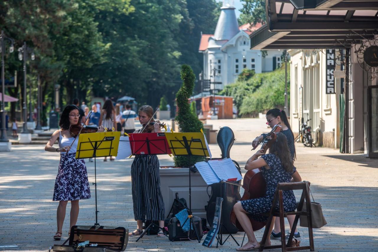 Vila Emilia Vrnjačka Banja Exteriör bild
