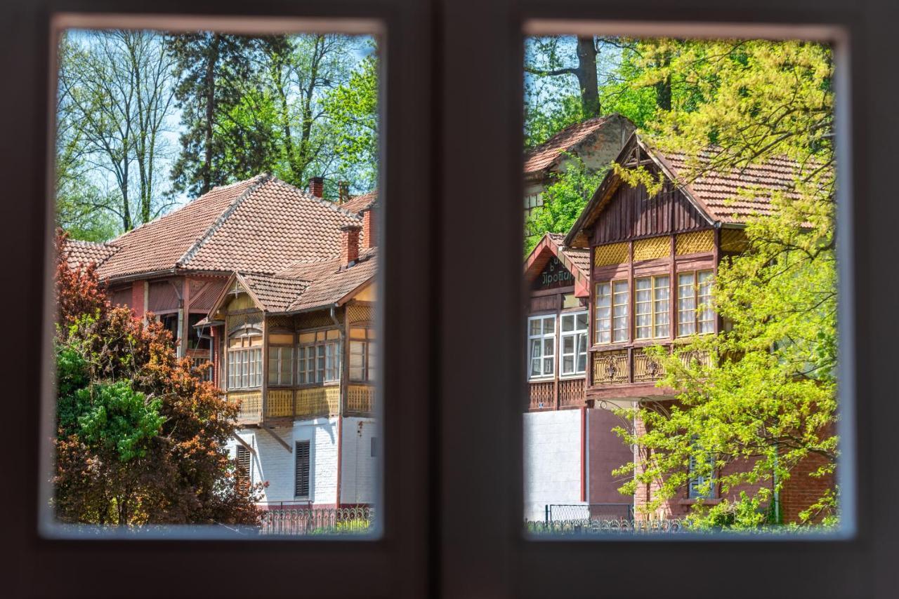 Vila Emilia Vrnjačka Banja Exteriör bild